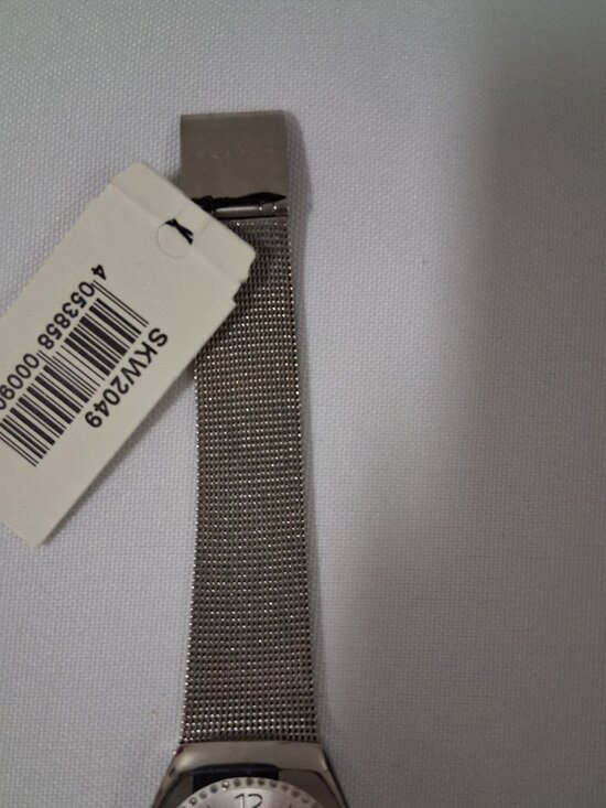 Skagen Women’s Asta SKW2049 Silver Dial Stainless Steel Mesh Watch main image 6